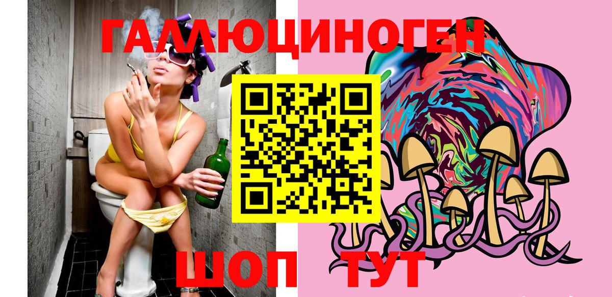 Псилоцибиновые грибы Psilocybe  Вход с VPN  Липецк 